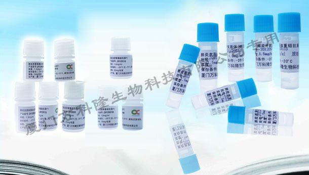 戊型肝炎類病毒（HEV）重組抗原